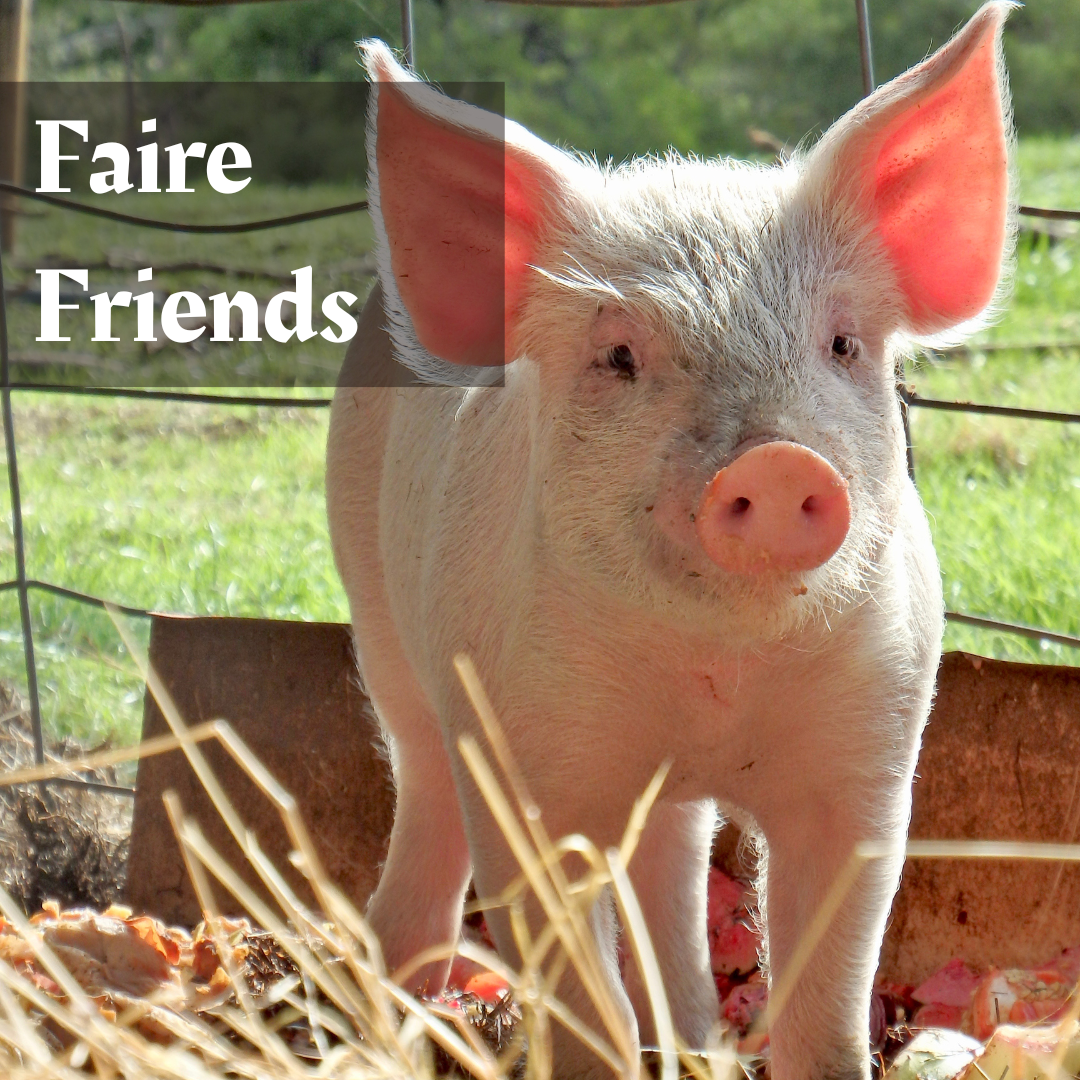 Mavericks & Mounts: Class Guide & Module for DnD5e (PDF)