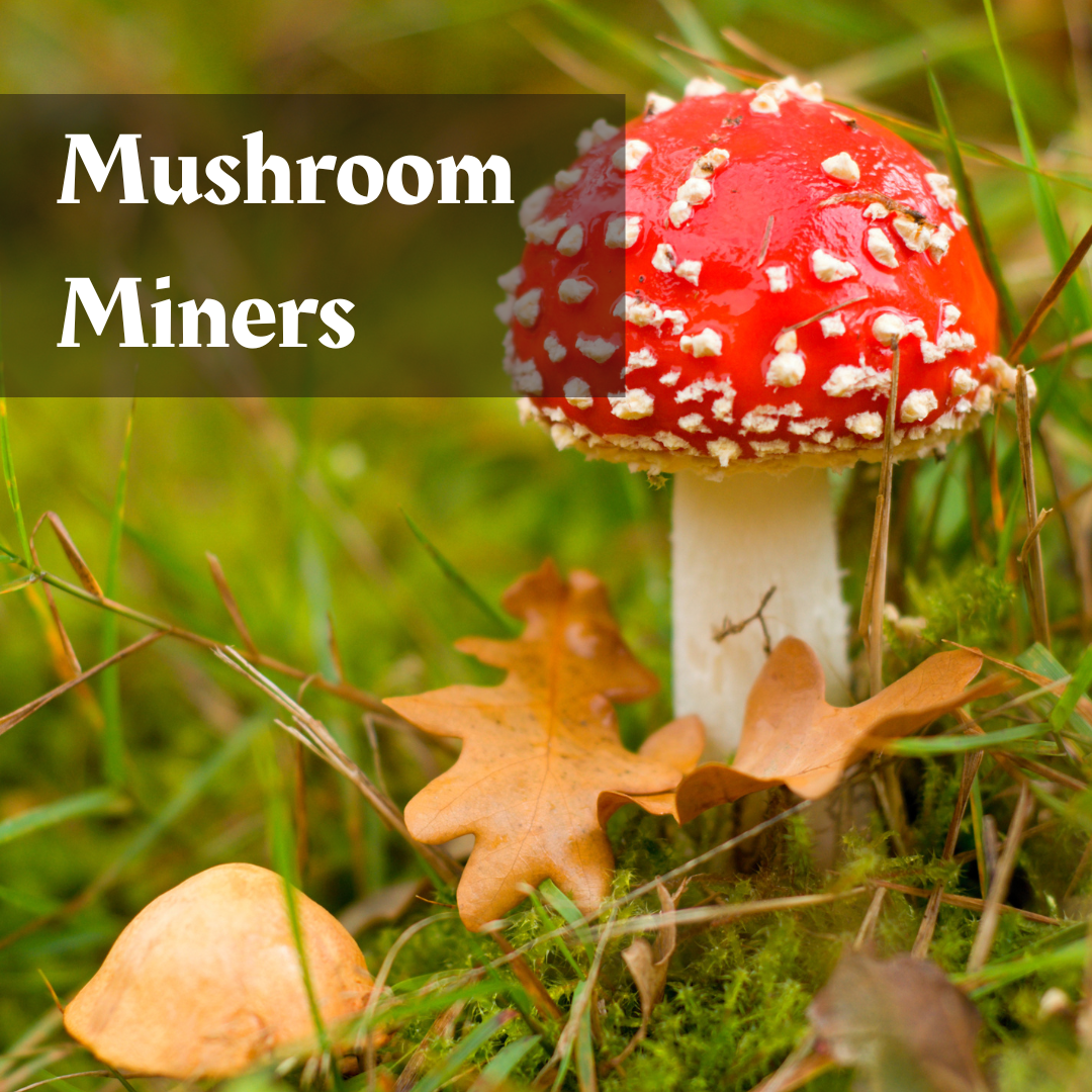 Journey to the Center of Eraegarth: Campaign & Setting for DnD5e (PDF)