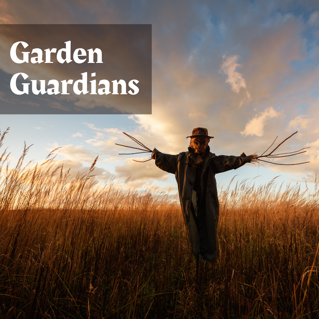 Blackcroft Crypts: Module & Ravensport Location for DnD5e (PDF)